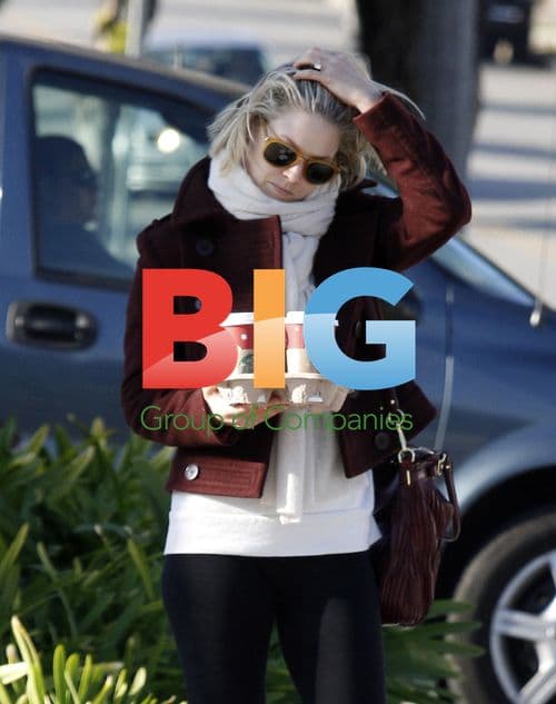 Ali Larter and Hayes MacArthur Grab Coffee