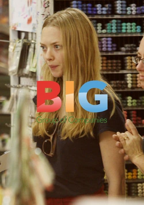 Amanda Seyfried Shops at Local Art Store