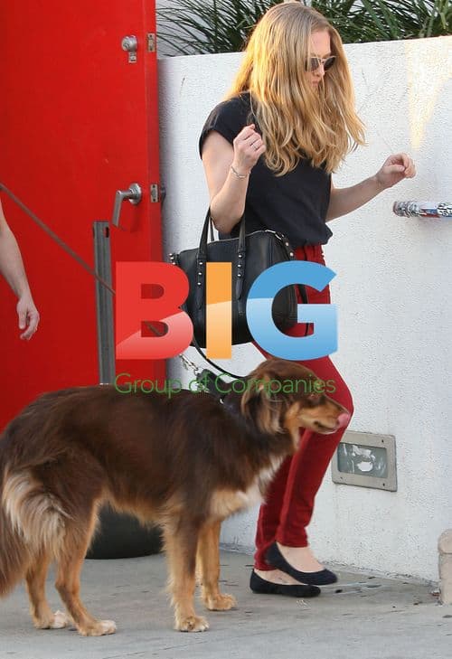 Amanda Seyfried shopping with dog