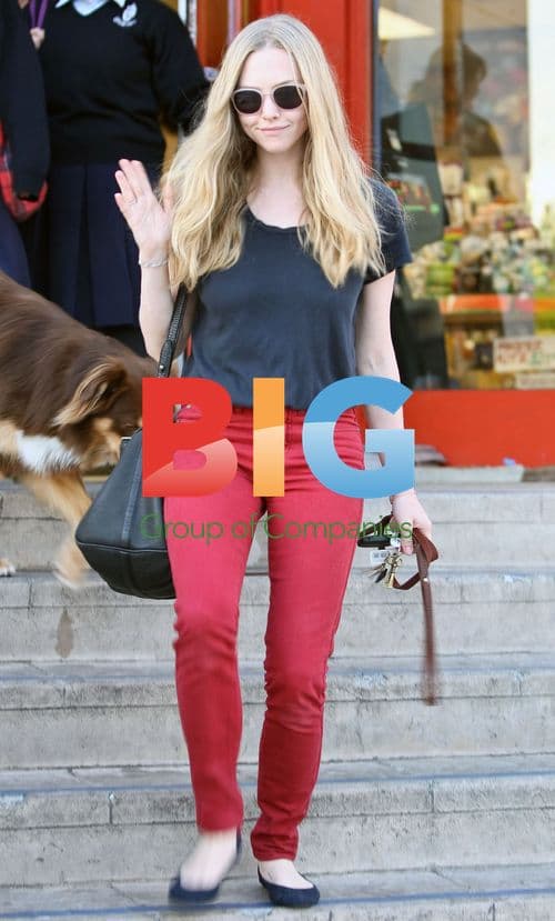 Amanda Seyfried Art Store Visit