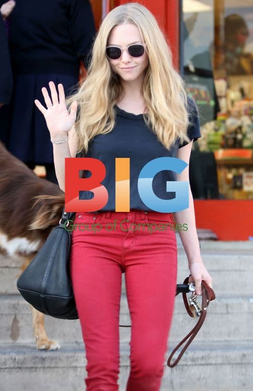 Amanda Seyfried out shopping with her dog