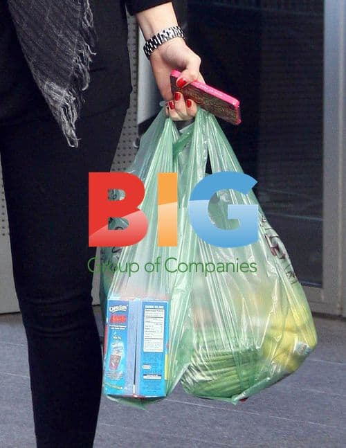 Hilary Duff shopping with family in LA