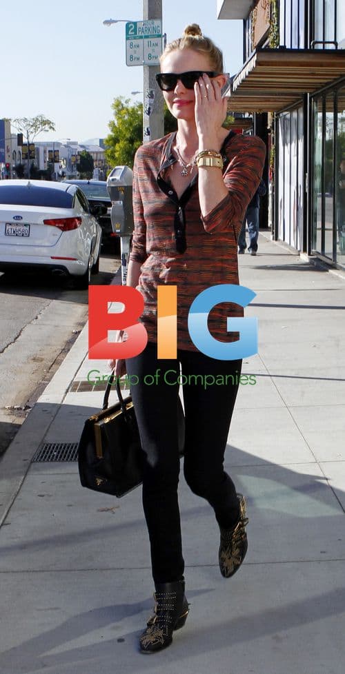 Kate Bosworth and Michael Polish shopping in LA