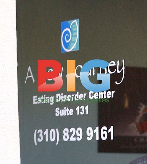 Demi Lovato Arrives at Eating Disorder Clinic