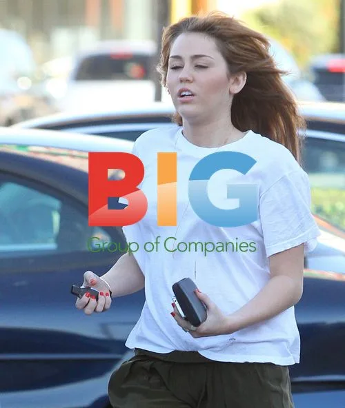 Miley Cyrus Spotted Out with Male Friend