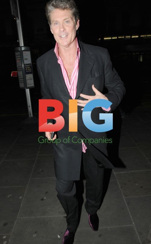 The Hoff Enjoys Chat with Kate Middleton Lookalike