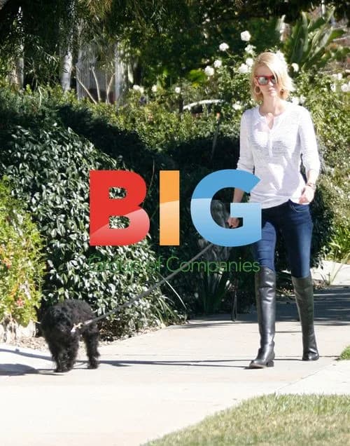 January Jones walking dog in LA