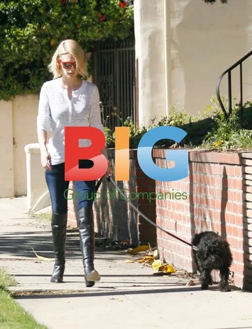 January Jones Walking Dog in Los Feliz