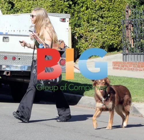 Amanda Seyfried Leaving Gym with Dog