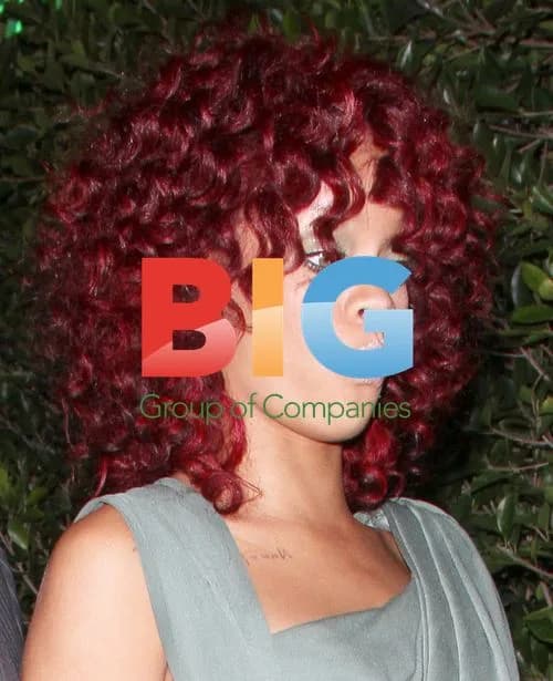 Rihanna Dines After AMAs in Santa Monica
