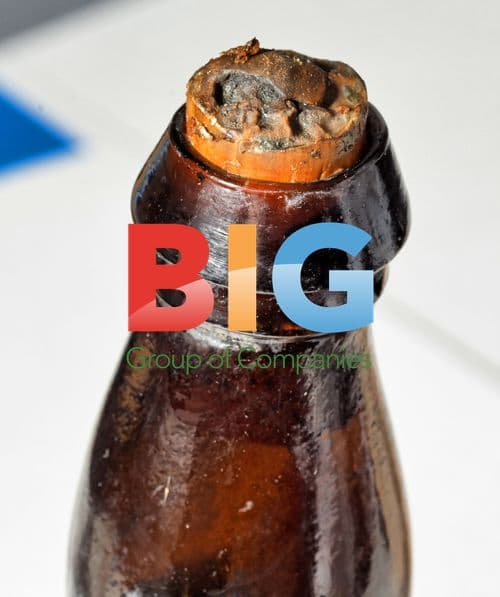 Oldest Drinkable Beer Found in Shipwreck