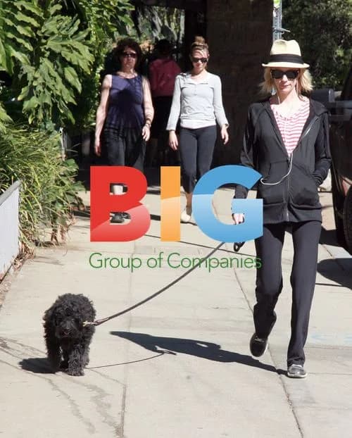 January Jones walks dog in Los Feliz park