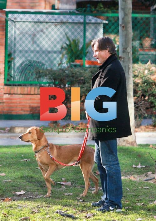 Viggo Mortensen and Ariadna Gil walking dog in Madrid