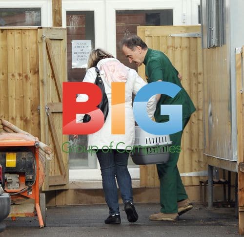 Fern Britton with Cat at Veterinary Clinic