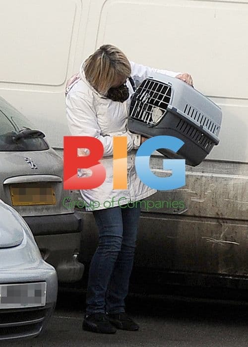 Fern Britton Arrives at Vet Clinic