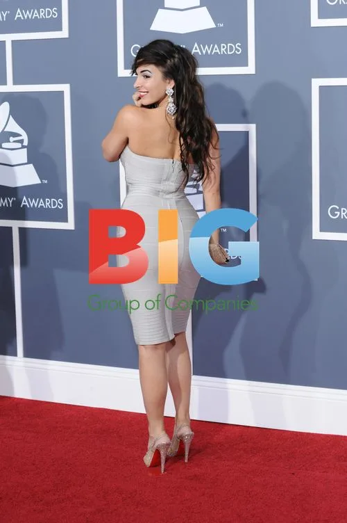 Mayra Veronica at 53rd Grammy Awards