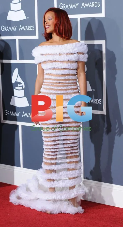 Rihanna at 53rd Grammy Awards
