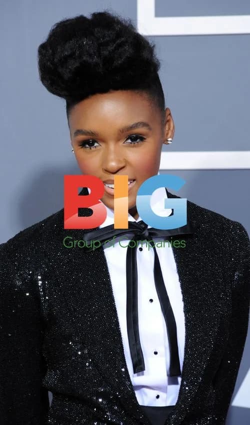 Janelle Monae at 53rd Grammy Awards