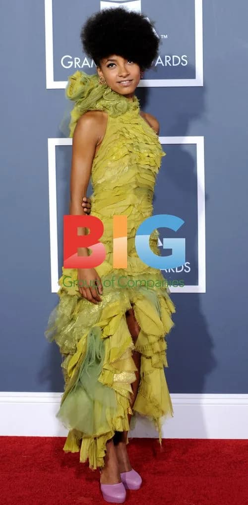 Esperanza Spalding at 53rd Grammy Awards