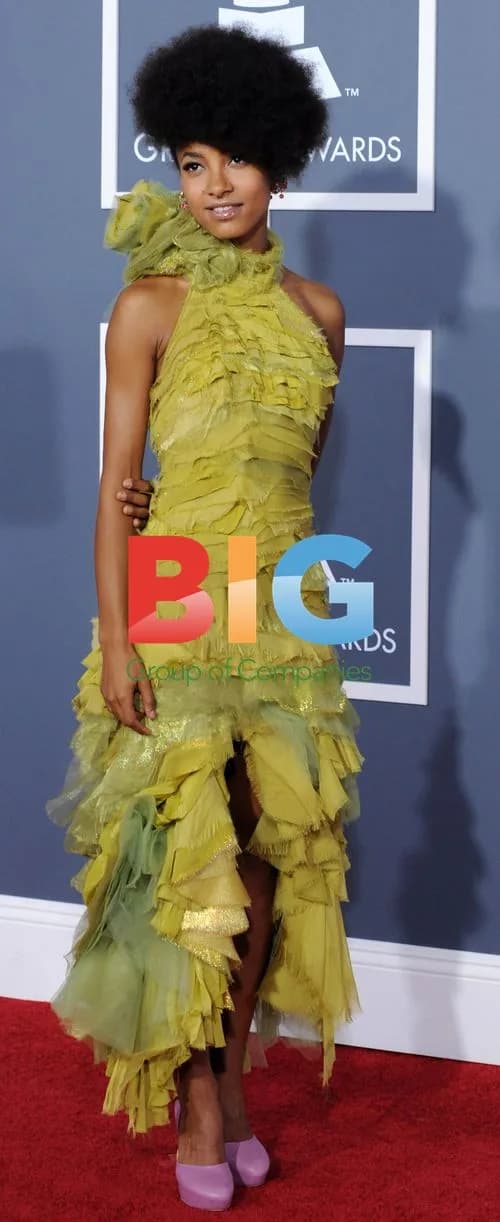 Esperanza Spalding at 53rd Grammy Awards