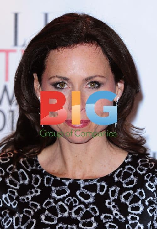 Minnie Driver at 2011 Elle Style Awards