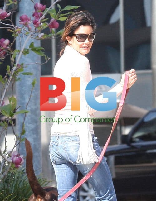 Janice Dickinson walks dogs in Beverly Hills