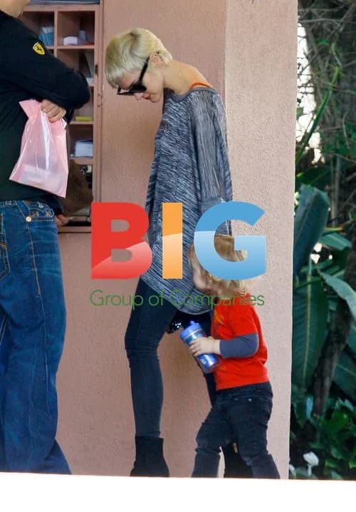 Ashlee Simpson and Pete Wentz Seen Together on Valentine's Day