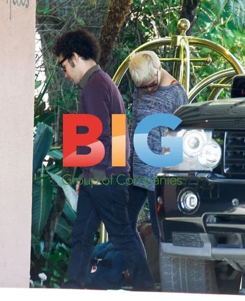 Ashlee Simpson and Pete Wentz Spend Valentine's Day Together