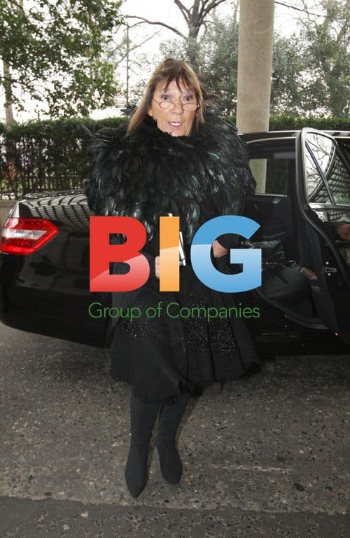 Hilary Alexander at Maria Grachvogel Show