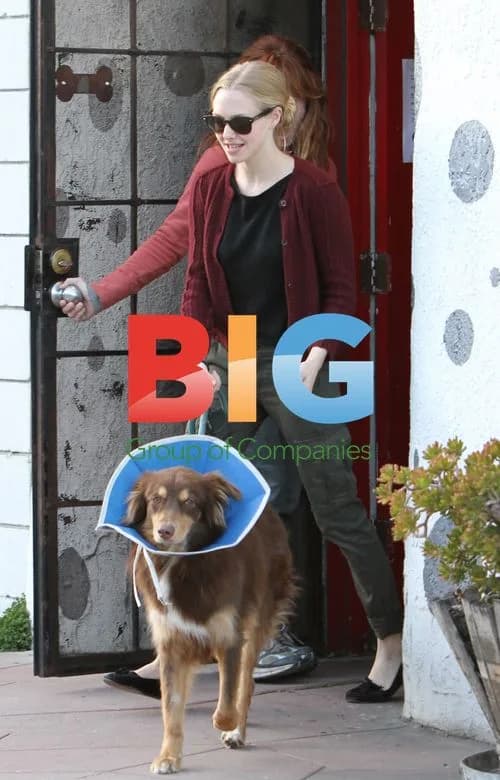 Amanda Seyfried Runs Errands with Dog