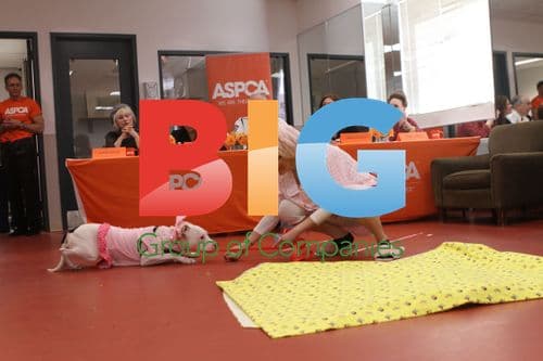 ASPCA 'Best in Show' Talent Competition