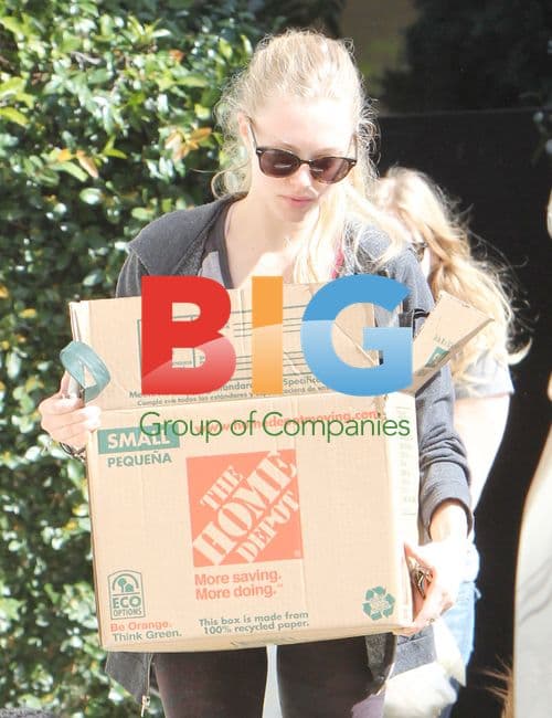 Amanda Seyfried Moves Boxes