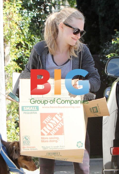 Amanda Seyfried Moving to New Home
