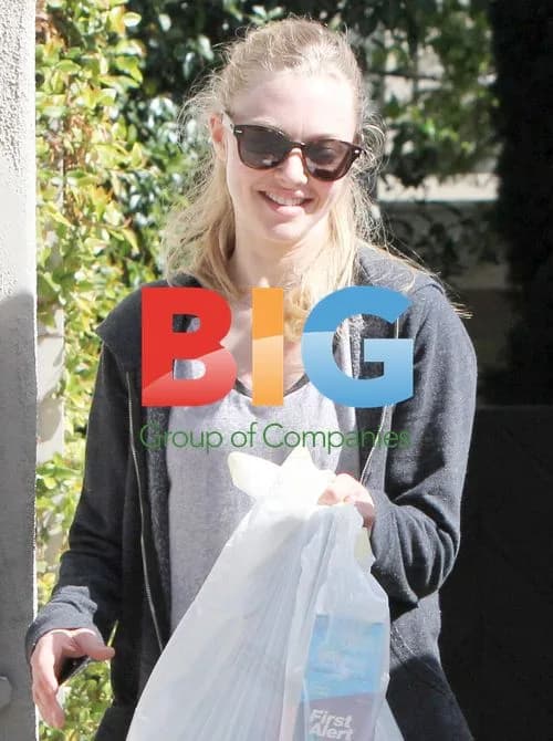 Amanda Seyfried Moving Homes