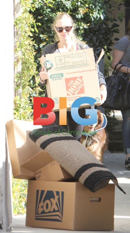 Amanda Seyfried Moving Homes
