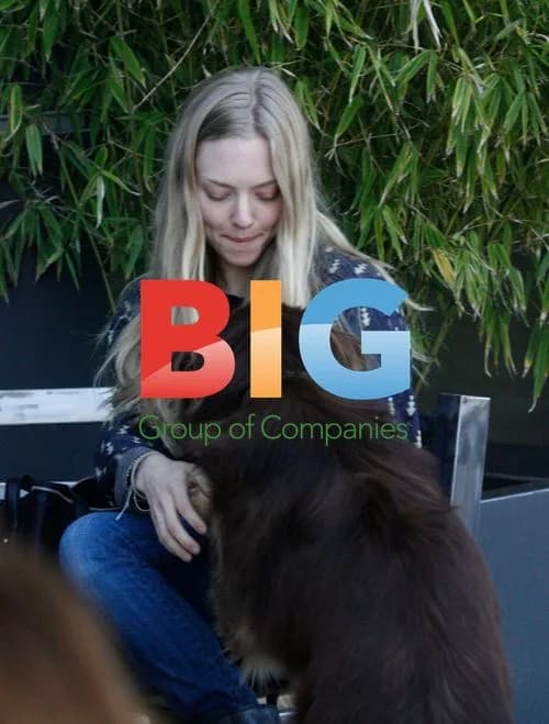 Amanda Seyfried in Business Meeting