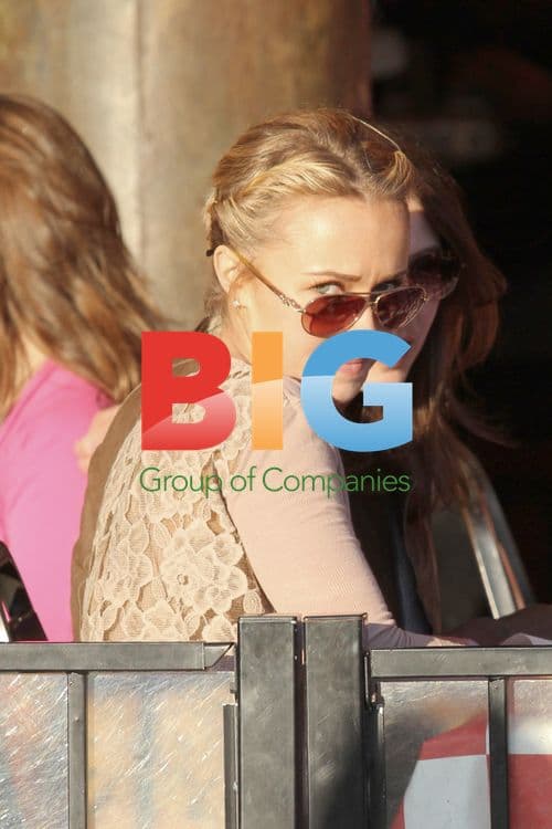 Hayden Panettiere Enjoys Company at Venice Beach