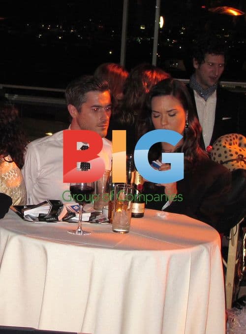 Celebrities at the Domino Gala in Hollywood