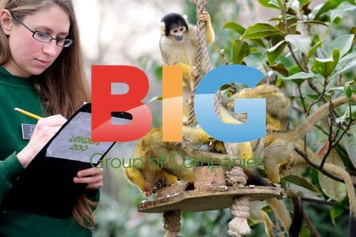 Annual Zoo Stocktake