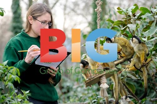 London Zoo Annual Stocktake 2011