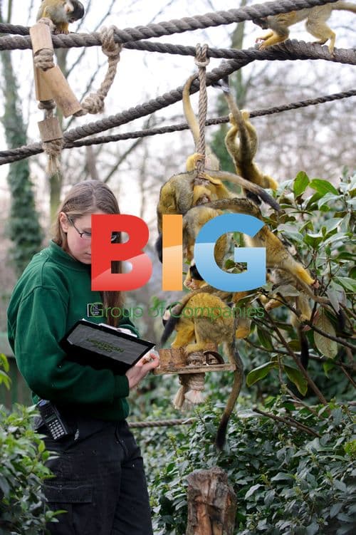 Annual Stocktake at London Zoo