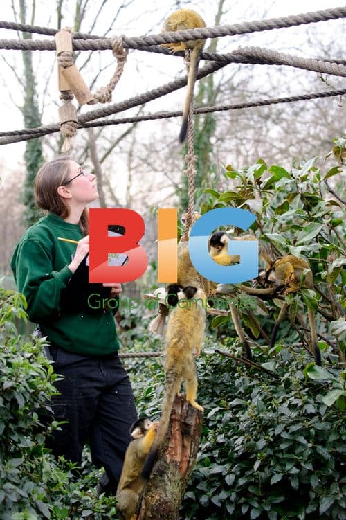 Annual Stocktake at London Zoo