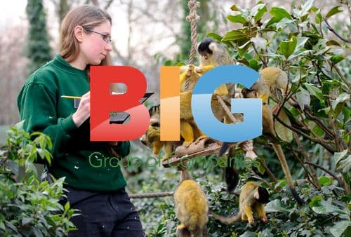 Annual London Zoo Stocktake