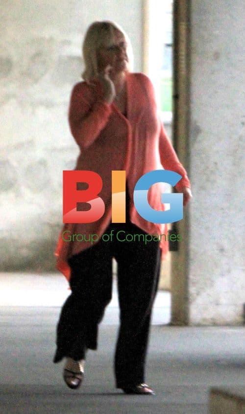 Celebrity couple Richard and Judy at airport