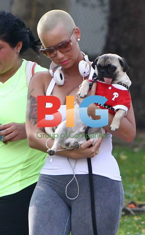 Amber Rose Walking Dog in Beverly Hills