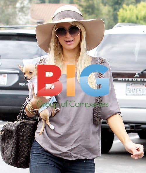 Paris Hilton Shopping in Beverly Hills