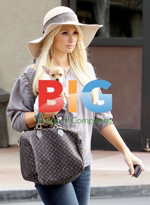 Paris Hilton shopping with chihuahua