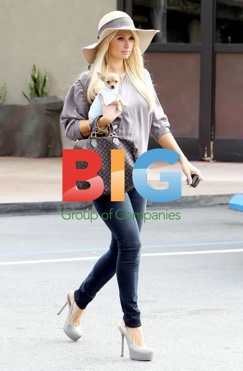Paris Hilton goes shopping with Chihuahua