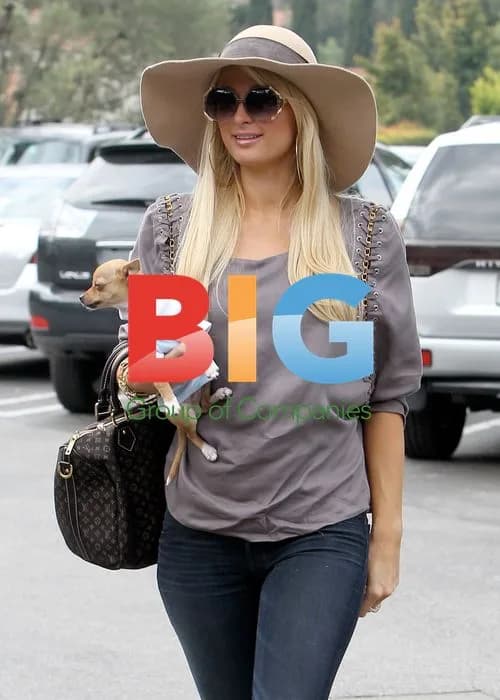 Paris Hilton Shops in Beverly Hills
