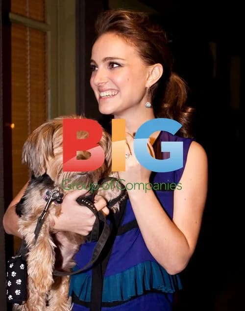 Natalie Portman Pregnant with Co-star Fiancé